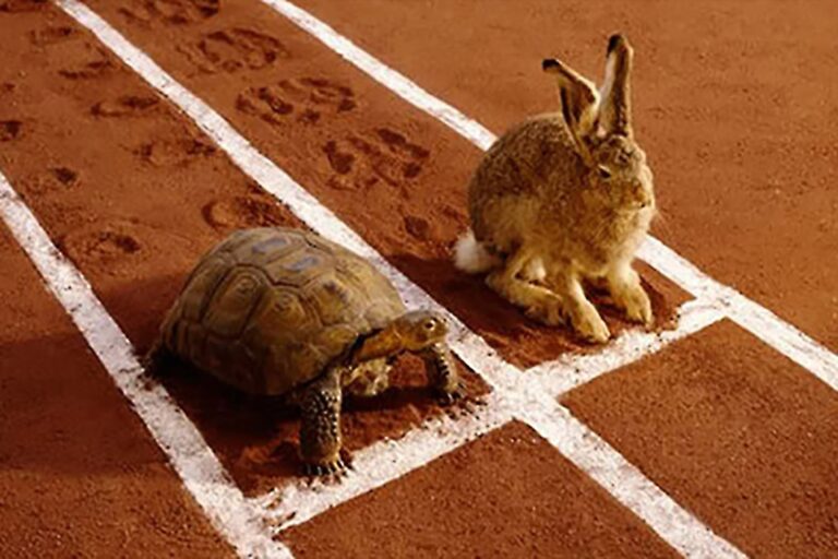 WHEN IT COMES TO ONLINE BUSINESS STEADY WINS THE RACE