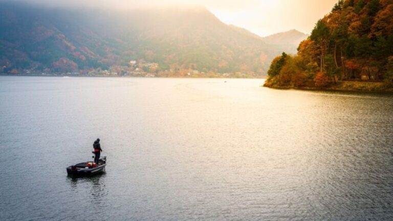 Uncovering the Story of lakey pechar: A Dive into Her Life and Work