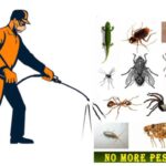 Pest Control Melbourne