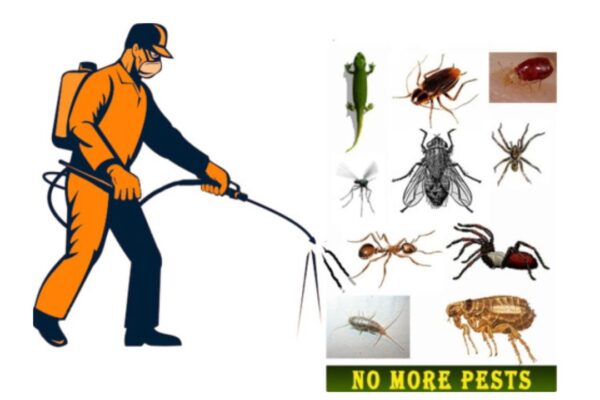 Pest Control Melbourne