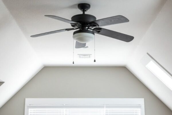 Ceiling Fans