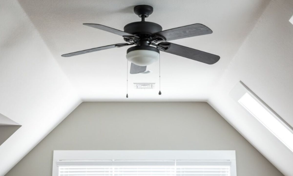 Ceiling Fans